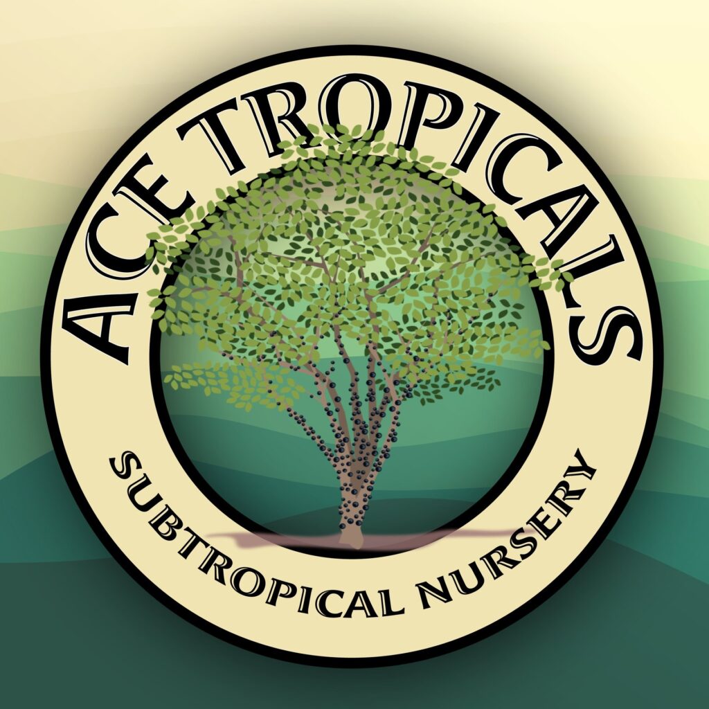 Shop - Ace Tropicals